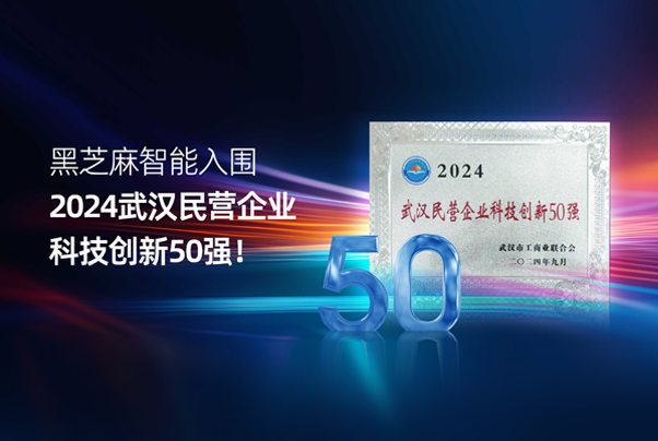 黑芝麻智能入围2024武汉民营企业科技创新50强！
