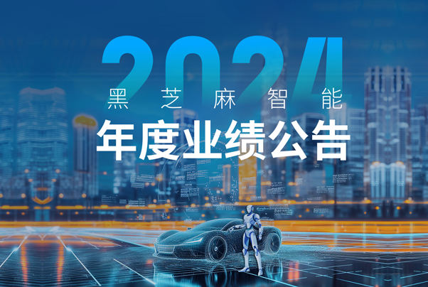 黑芝麻智能2024年财报解读：技术驱动全场景突破，加速领跑智驾生态