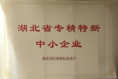 黑芝麻智能